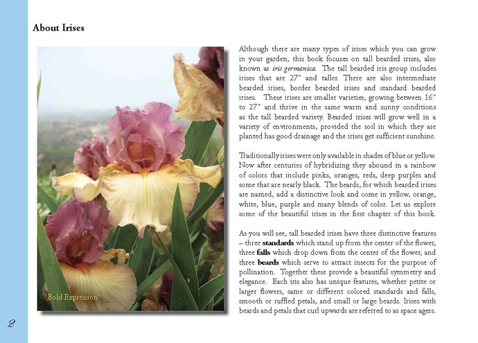 About Irises 1